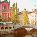 renaissancerecordsrpg avatar