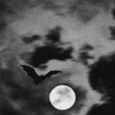 renkliruyalarkabusoldu avatar