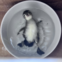 renownedpillowbiter avatar