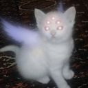 resolutelytwistedvoyage avatar