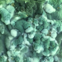 rest-in-paranoia avatar