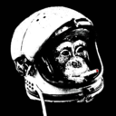 retard-space-monkey avatar