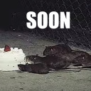 retardation-nation avatar