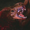 retiredhunterdjura avatar