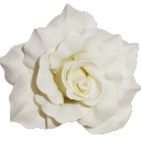 retroxpection avatar