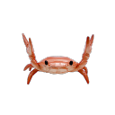 returntocrab avatar