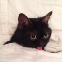 reward-if-found avatar