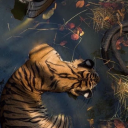 rewindthedays avatar