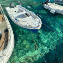 rewritten-to-fly avatar