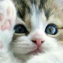 rhinestonericky avatar