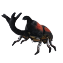 rhino-beetles avatar