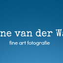 riannevanderwaals avatar