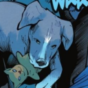 ricgraysonmemorial avatar