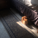 richardsiphone avatar