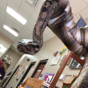 ricky-kenocide avatar