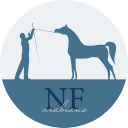 riddikulusims avatar