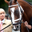 rideonruffian avatar