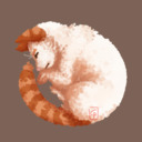 ridgefox avatar