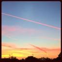 ridiculousfeels avatar