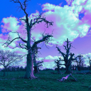 ridleys-creations avatar