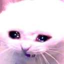 riggered-trashley avatar