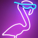 ringsy-flamingsy avatar