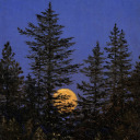 riotgrrrlboss avatar