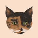 ritathecat avatar