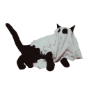 ritualreverie avatar