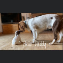 riverr-unning avatar