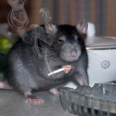 robertpattersonsleftcoochieflap avatar