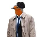 robin-in-a-trenchcoat avatar