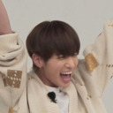 robin-obsessed avatar