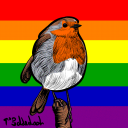 robinparravel avatar