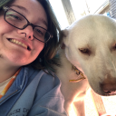 roboticctrees avatar