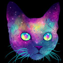 robotspacecats avatar