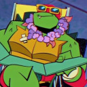 rockin-turtles avatar