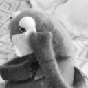 rogercanthang avatar