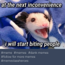 roleplaylms1024 avatar