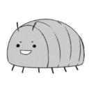 rolypoly-pillbug avatar