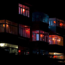 rondiniconilguinzaglio avatar