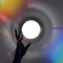 rosas-virtuais avatar