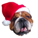 roscoehamiltons avatar