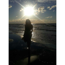 rose-petals-are-falling avatar