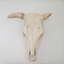 roseandblossom avatar