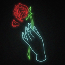 roseb4lm avatar