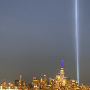 rosebud-salve avatar