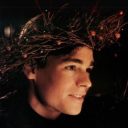 roseofstardust avatar