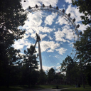 rosesinpaperbags avatar