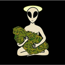 roseyfourtwenty avatar